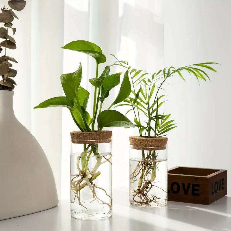 Hydroponische Glazen Plantenvaas Desktop Decoratie
